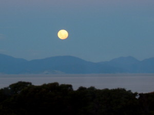 Moon_over_Waratah_Bay